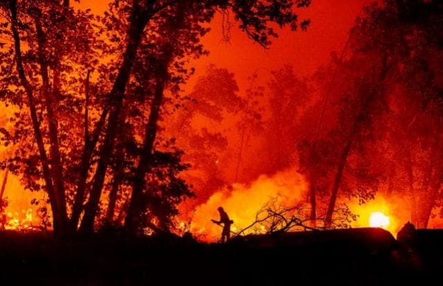 Fiesta para revelar género de un bebé provoca incendio de casi 3 mil hectáreas en California