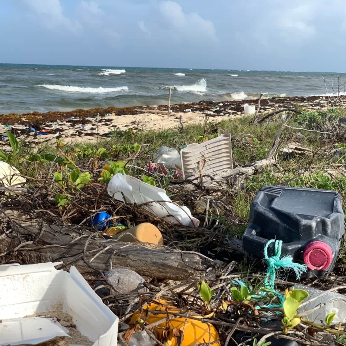 Recala basura plástica de al menos 11 países a playas del Caribe Mexicano