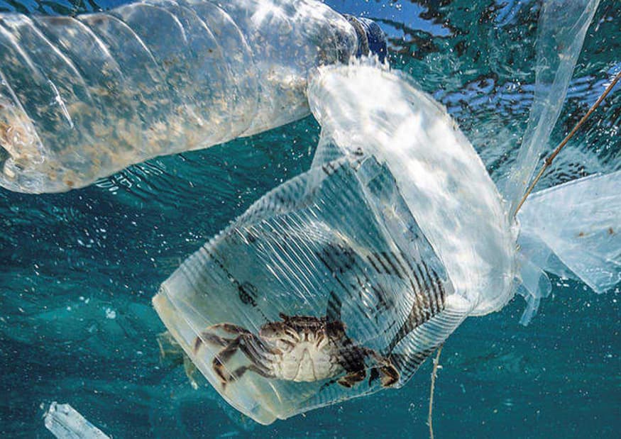 Son 7 Áreas Naturales Protegidas en Quintana Roo con contaminación plástica: Greenpeace