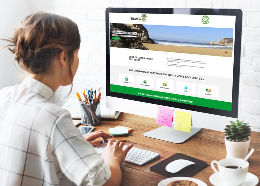 Ecoce ofrece educación ambiental gratuita a maestros de Quintana Roo