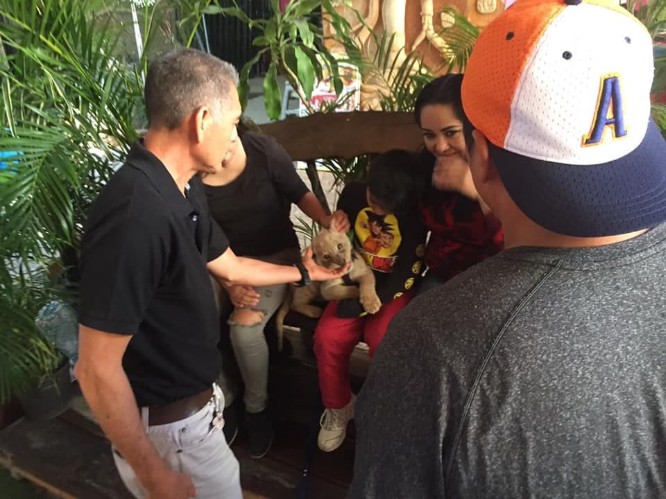 Después de 5 meses, finalmente la PROFEPA investigará explotación animal en puesto de la Quinta avenida