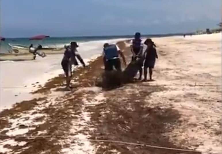 Delta toma fuerza al acercarse a EU y varias localidades ya están en alerta