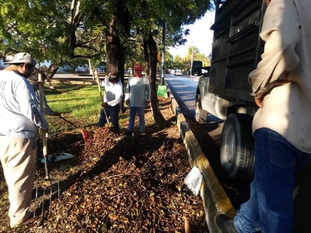 Gobierno local y ciudadanos trabajan para limpiar Cancún