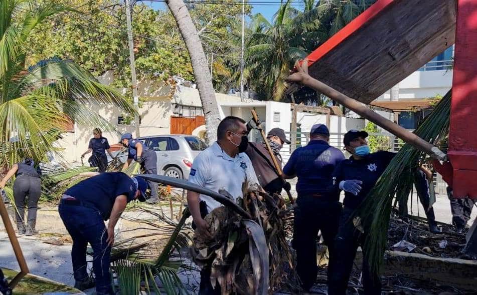 Continúan las brigadas de limpieza en Puerto Morelos tras paso de "Delta"