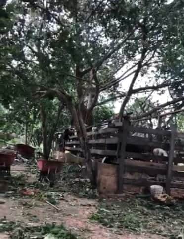 Sector agropecuario de Solidaridad, en espera de apoyos gubernamentales