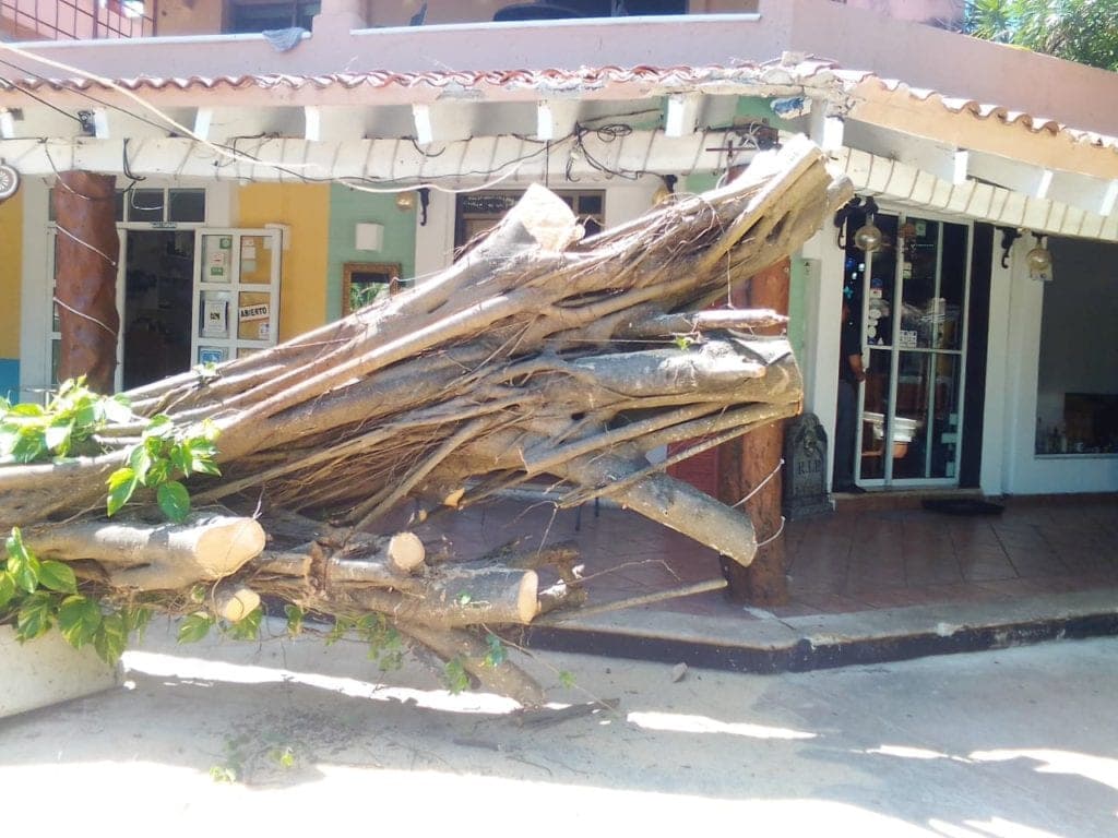 La zona turística de Puerto Aventuras se recupera de "Delta"