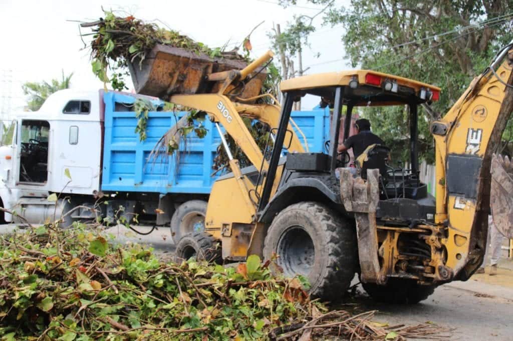 Retiran más de 2 mil toneladas de basura vegetal de Puerto Morelos tras paso de "Delta"