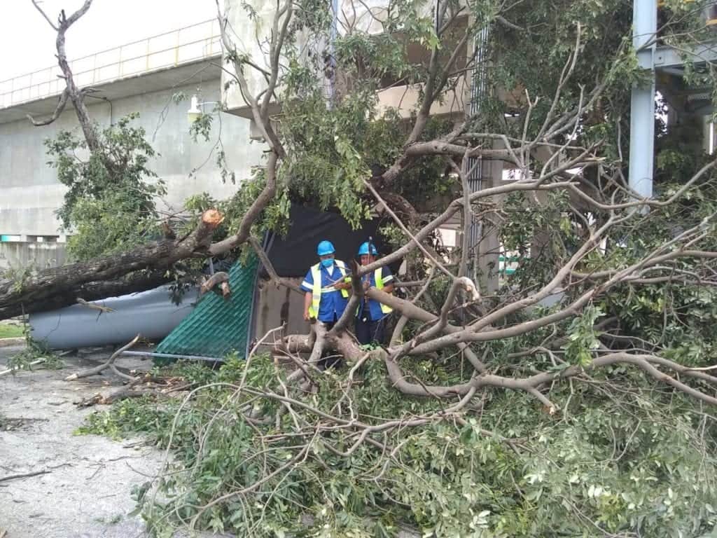 Continúan labores para establecer el servicio de agua potable tras el paso del huracán 'Delta'