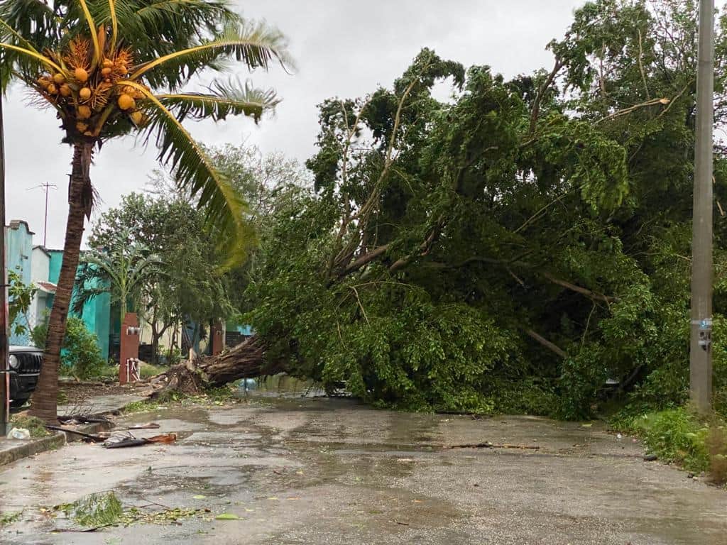 'Delta' deja sin luz a la mitad de habitantes en Cancún, Playa del Carmen y Cozumel