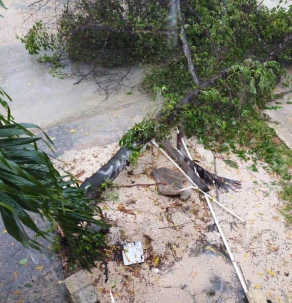 Registran primeros estragos de la Tormenta 'Gamma' en Quintana Roo