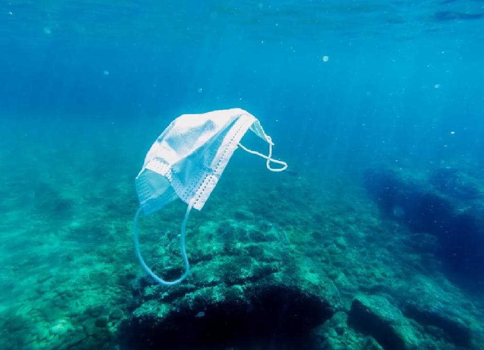 Descubren cubrebocas en el fondo del mar y en playas de Quintana Roo