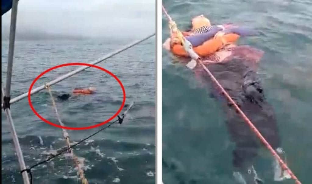 Video: Tras dos años desaparecida, hallan a mujer flotando en el mar con vida