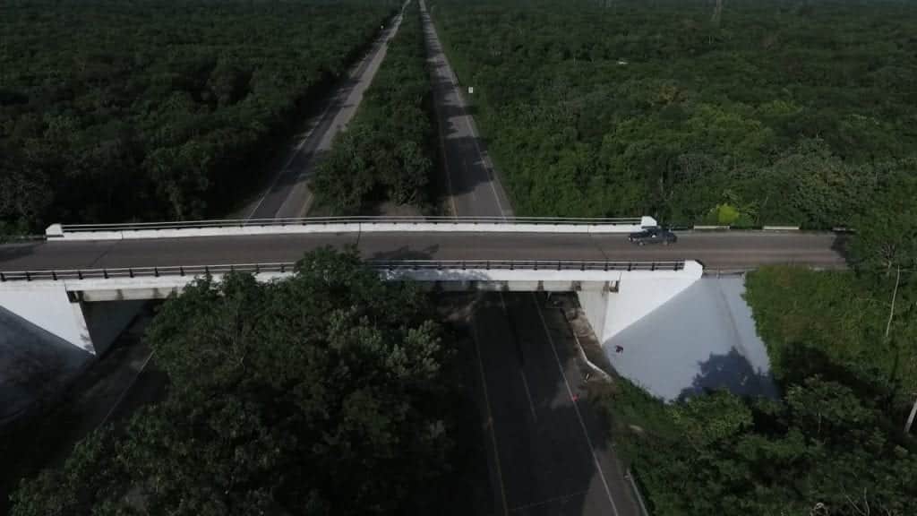 Se ampliará a cuatro carriles la autopista Kantunil-Cancún por Tren Maya
