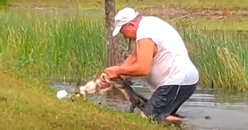 Video: Lucha abuelito de 74 años contra un cocodrilo ¡para salvar a su cachorro!