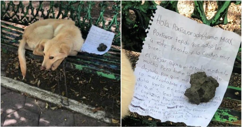 Deja a su perrito en una banca con una nota; su familia lo maltrataba