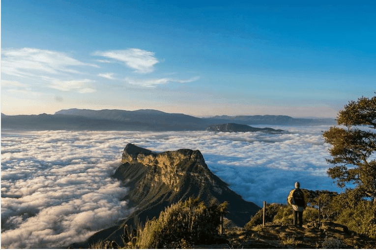 ¡Viaja al 'corazón verde' de México!