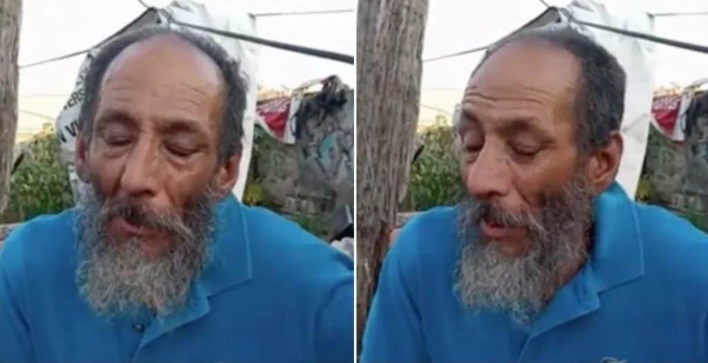 Le regalan comida envenenada para sus perritos; 17 murieron