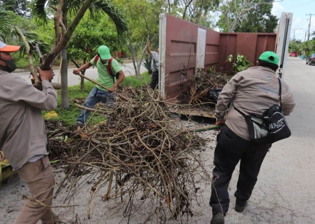 Brigadas mantienen trabajos de limpieza en Leona Vicario, Puerto Morelos