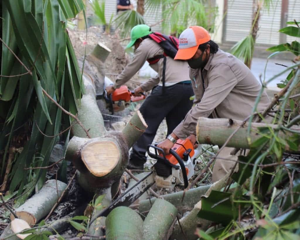 Avanza al 80% la limpieza en Puerto Morelos, ante los estragos de últimos huracanes