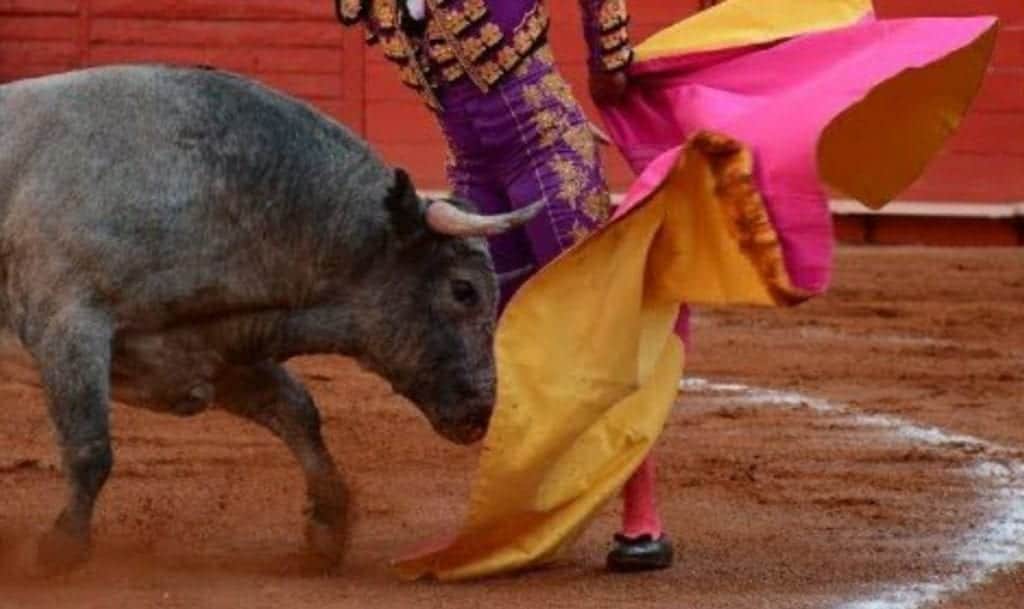 Continuarán acciones jurídicas para que corridas de toros sean permitidas en Cancún