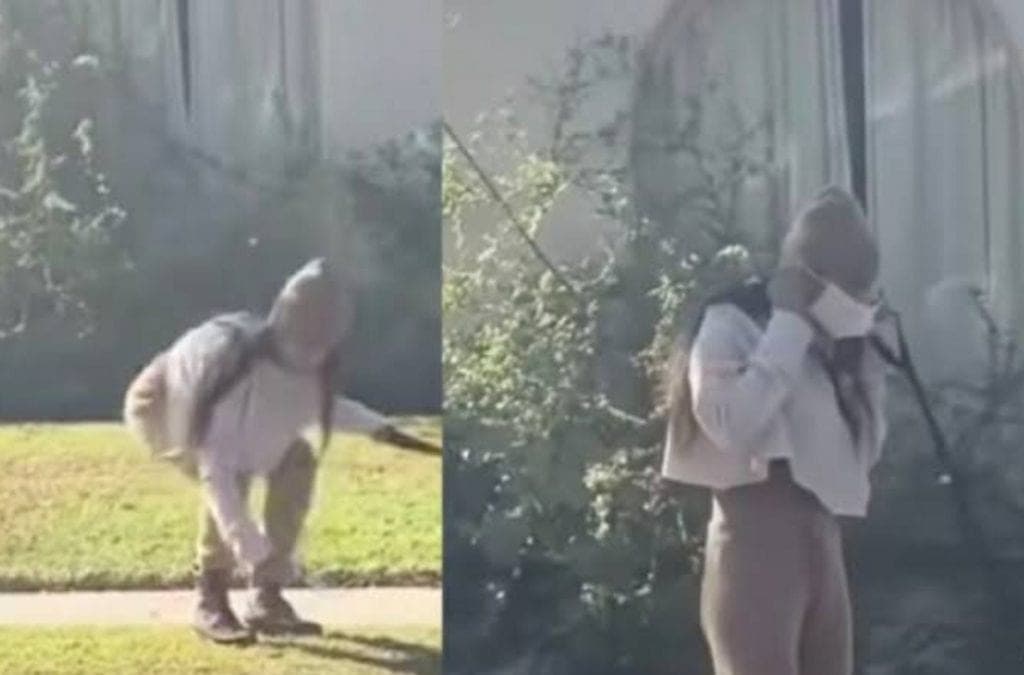 Captan a Mía Khalifa recoger heces de su perro con su tapabocas y volver a ponerselo así