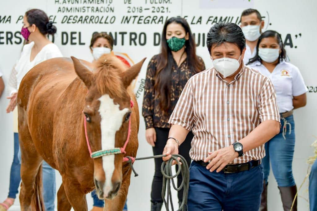 Mejoran servicios del Centro de Equinoterapia del DIF Tulum con adquisición de caballo
