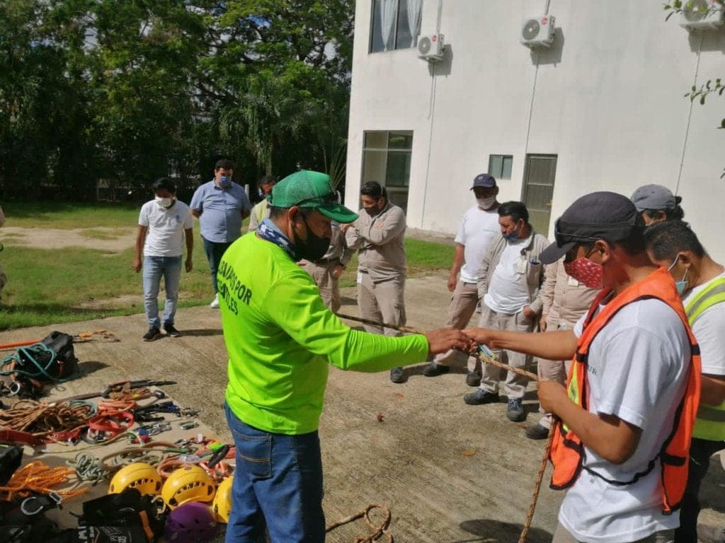 Capacitan a personal de Fonatur sobre cuidado de árboles y palmeras en zona hotelera de Cancún