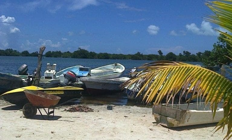 Inician acciones para conservar el sistema lagunar Chacmochuch y Laguna Manatí