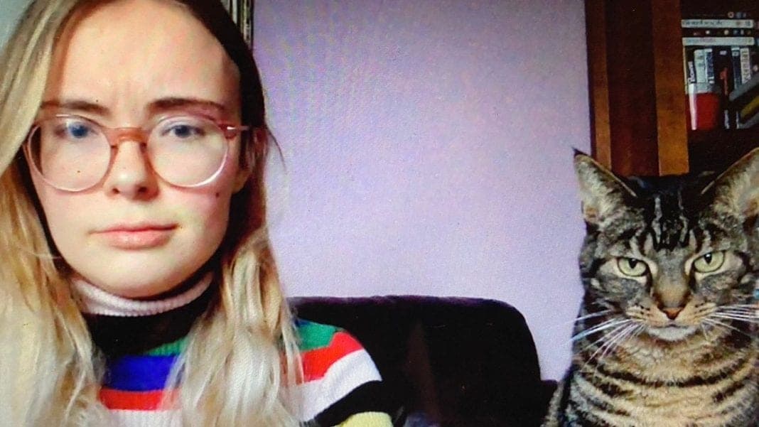 Gato revolucionó las videollamadas de Zoom mirando directo a la cámara