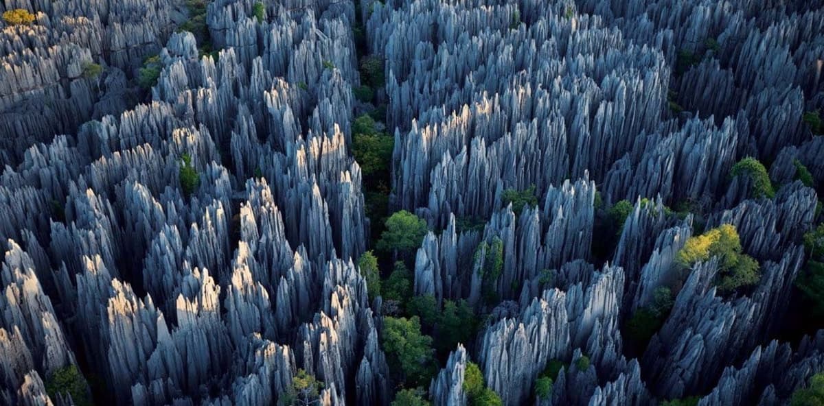 ¡Disfruta del fantástico Bosque de Piedra, una verdadera maravilla natural!