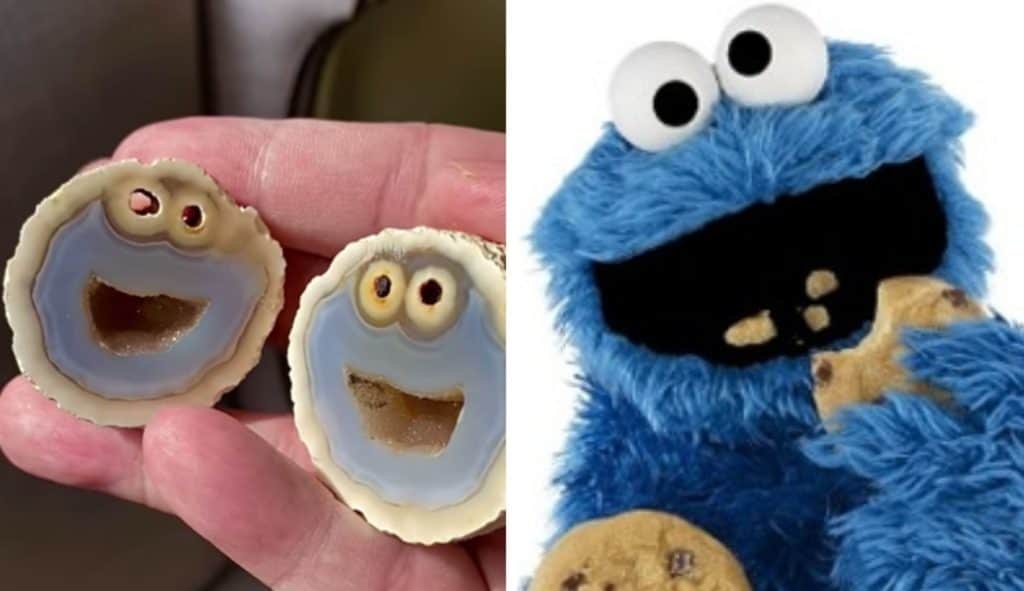 VIDEO: Geólogo encuentra roca idéntica al monstruo come galletas de Plaza Sésamo