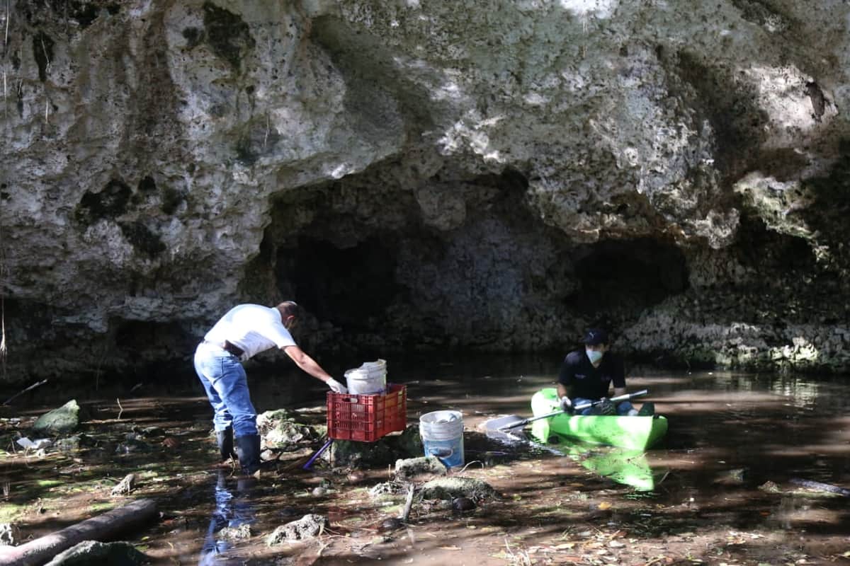 Logra Gobierno de BJ rescate de cenotes con la Sociedad Civil