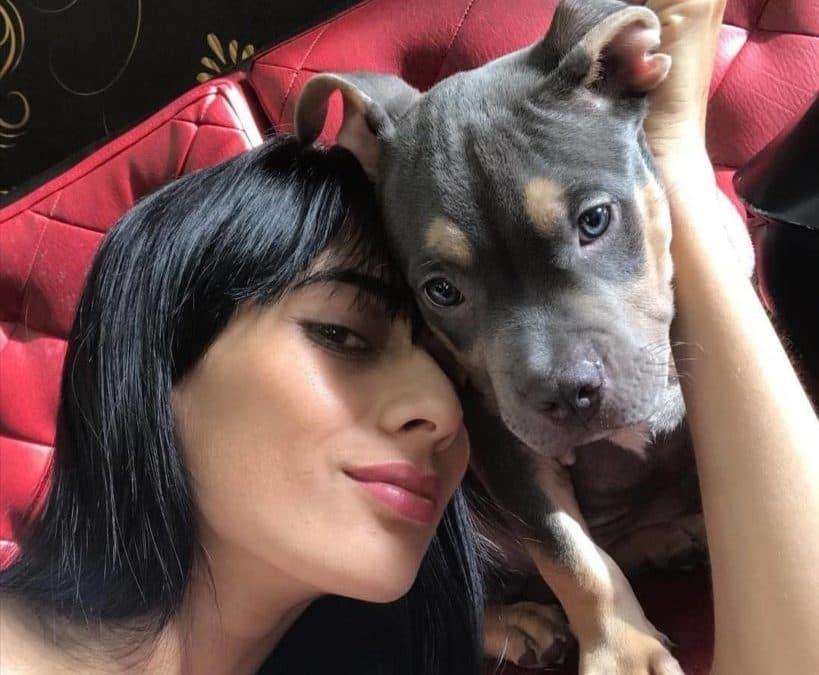 Denuncian a aerolínea por muerte de perrito en cabina de equipaje, le faltaba oxígeno