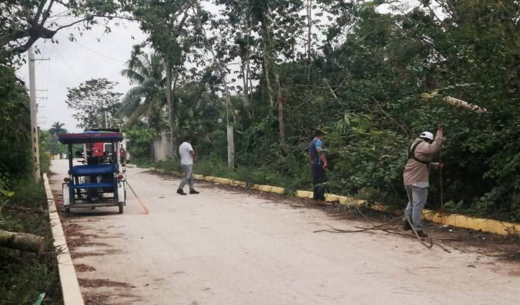Brigadas atienden reportes ciudadanos en Leona Vicario para mejorar servicios públicos