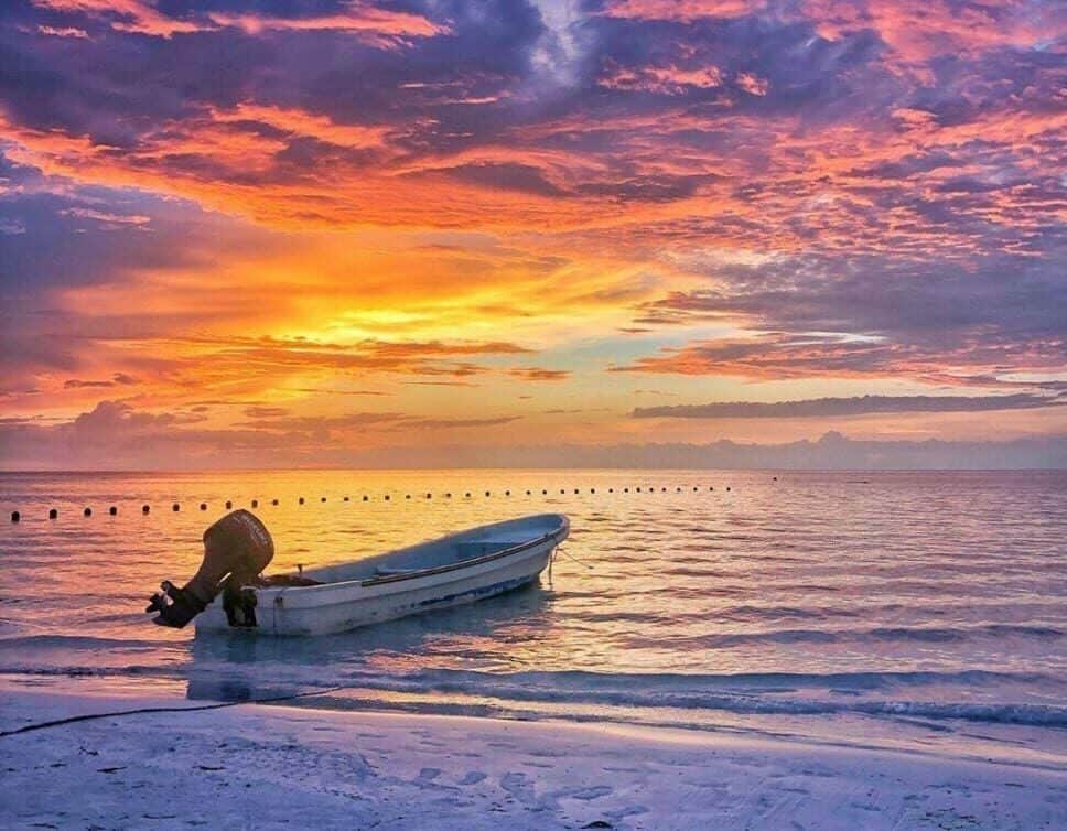 ¡Disfruta de las mejores actividades en Holbox!