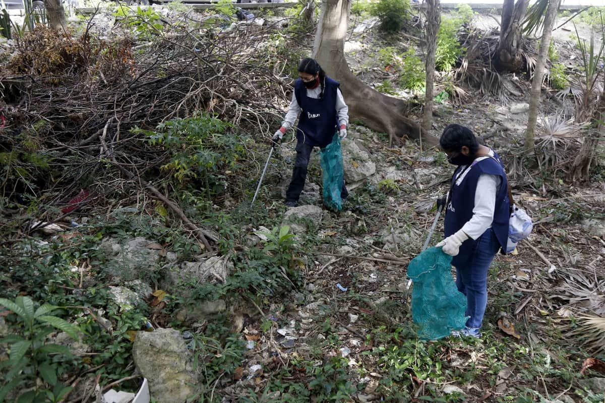Realizan limpieza en cenote urbano de Cancún