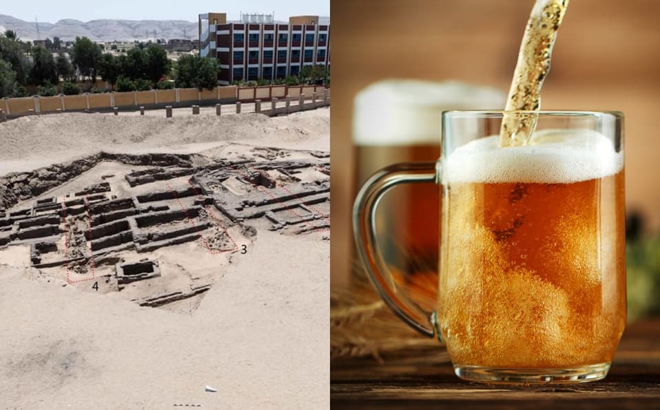 Cervecería más antigua del mundo es descubierta en Egipto