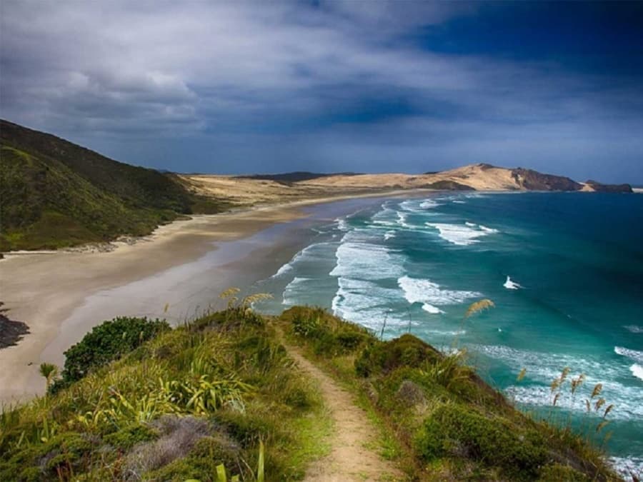 Sismo de magnitud 7.7 provoca tsunami en Australia y Nueva Zelanda