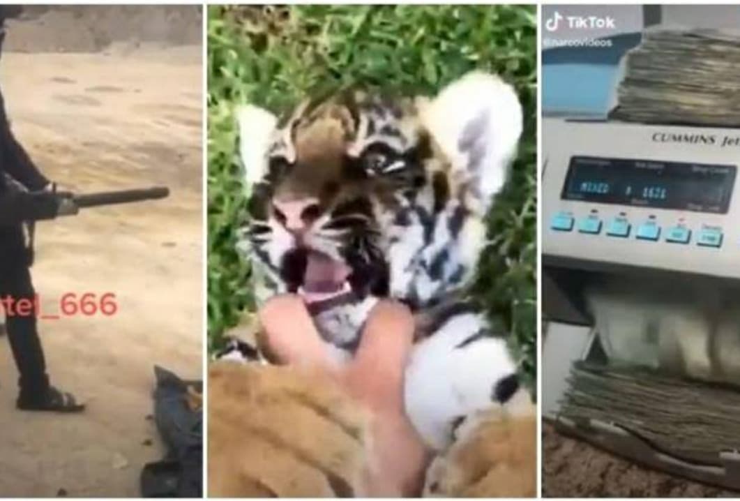 VIDEOS: El narco usa TikTok para reclutar jóvenes en México