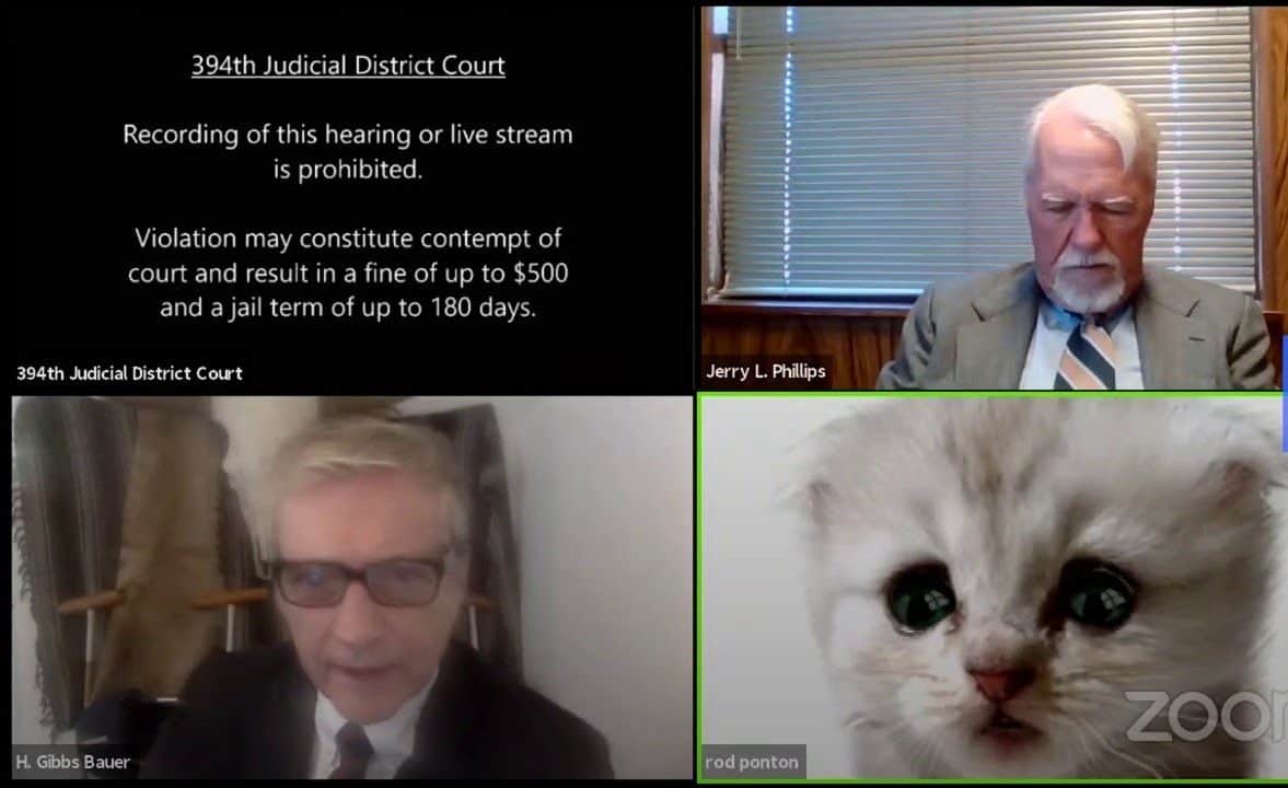 "No soy un gato" el filtro de zoom que le jugó una mala pasada a un abogado estadounidense