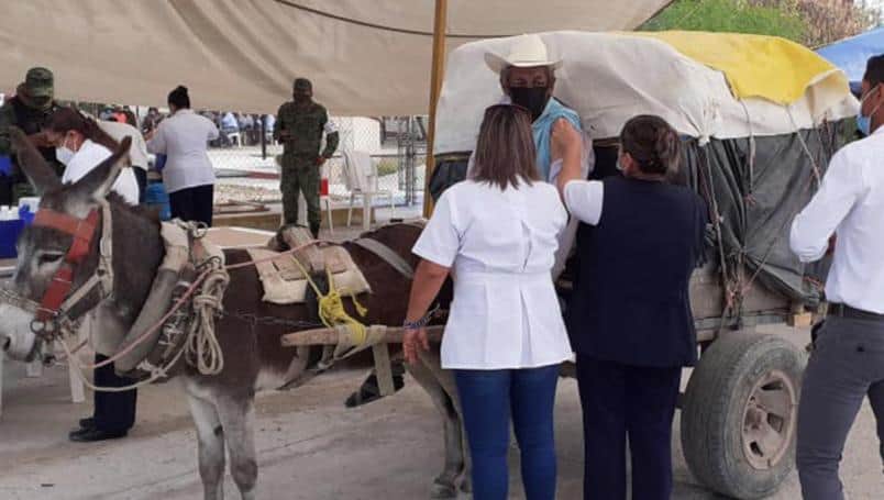 Ancianito llega en burro para recibir vacuna antiCovid-19 y se vuelve viral