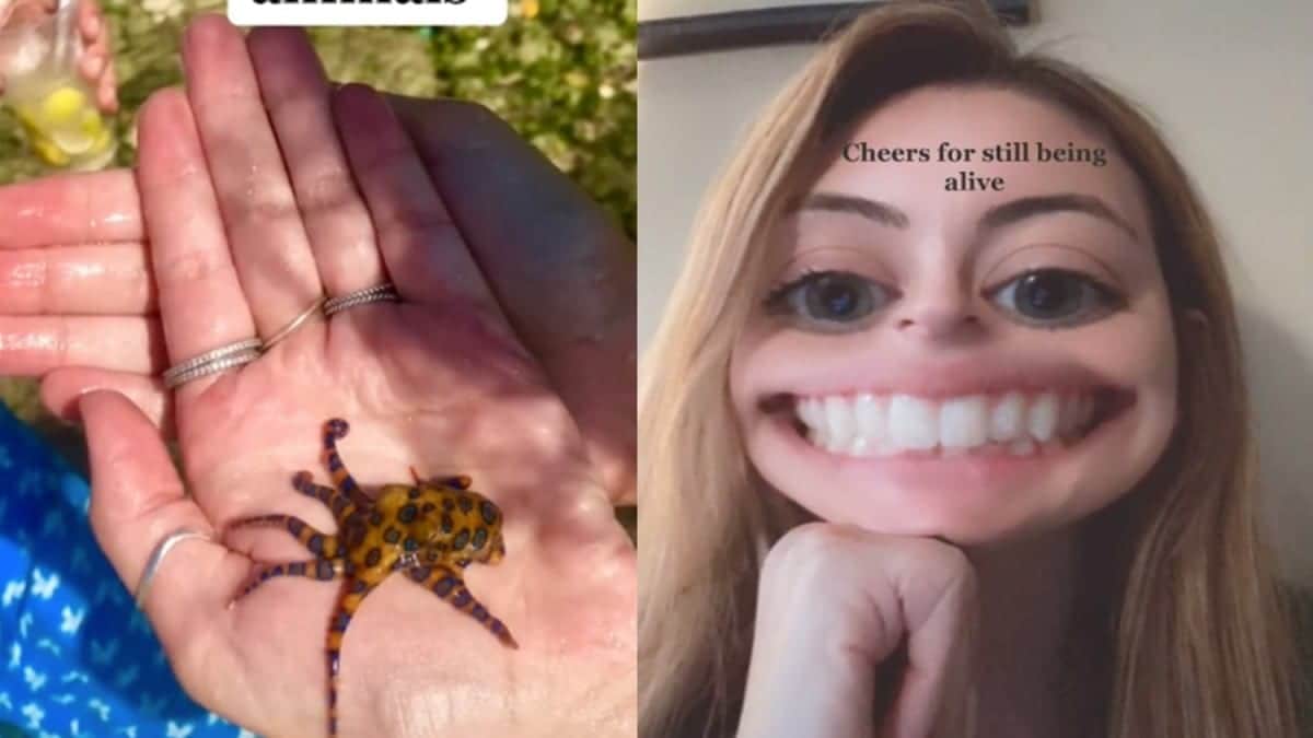 VIDEO: Mujer carga pequeño pulpo en su viaje sin saber que es uno de los más peligrosos del mundo