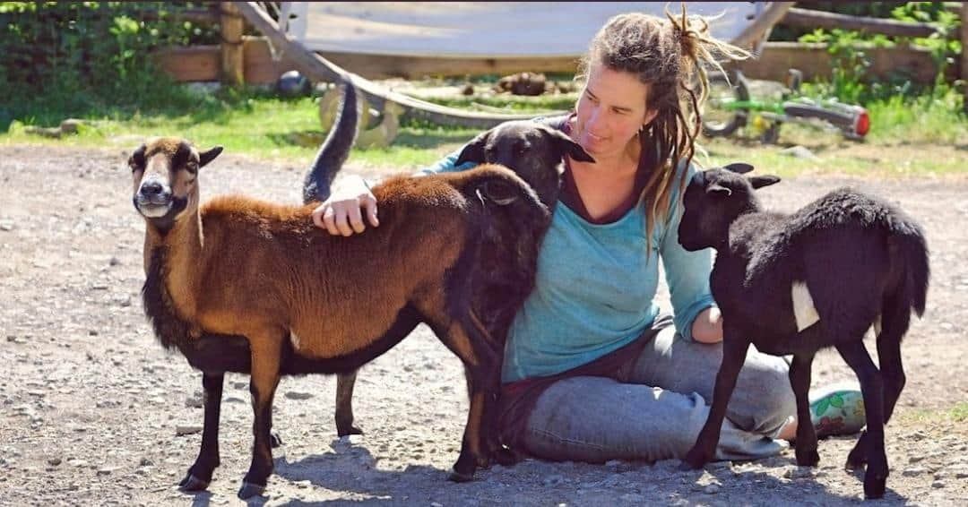 ¿Te sientes solo? Granja te ofrece abrazar animales como terapia antidepresión