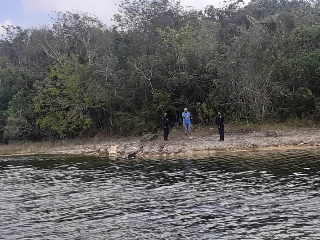 Sujeto muere ahogado en laguna urbana de Cancún