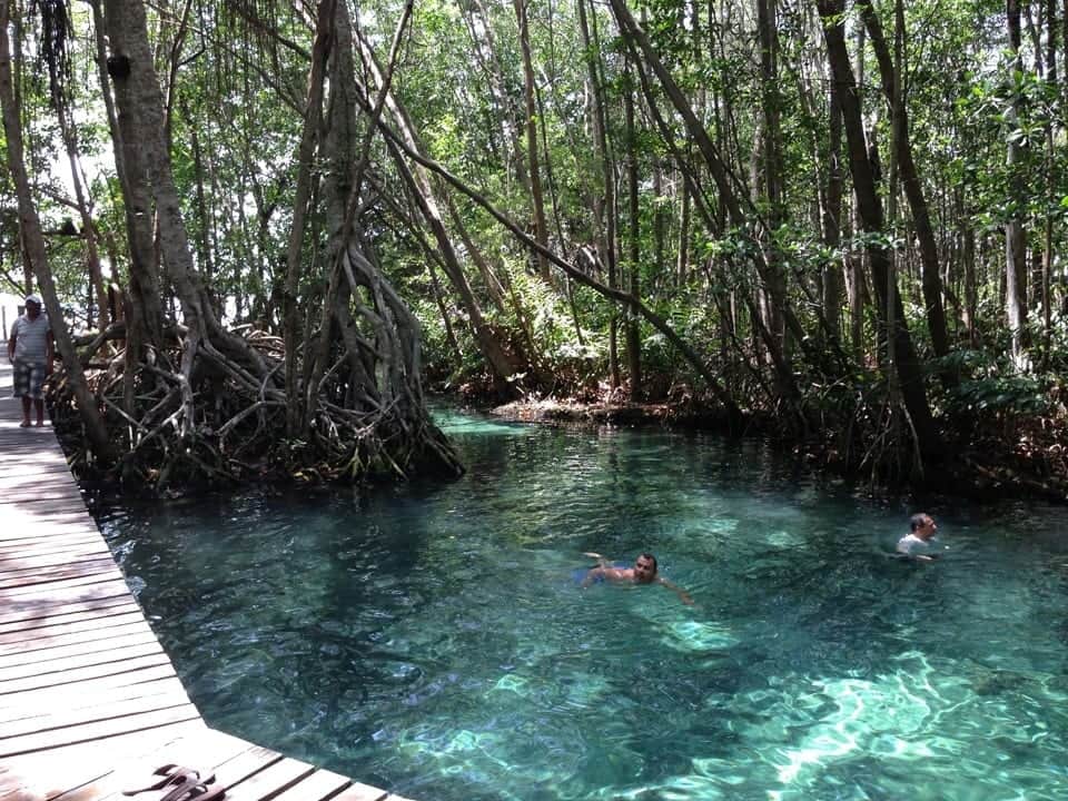 Ofrece Quintana Roo amplia variedad de opciones para el turismo de naturaleza