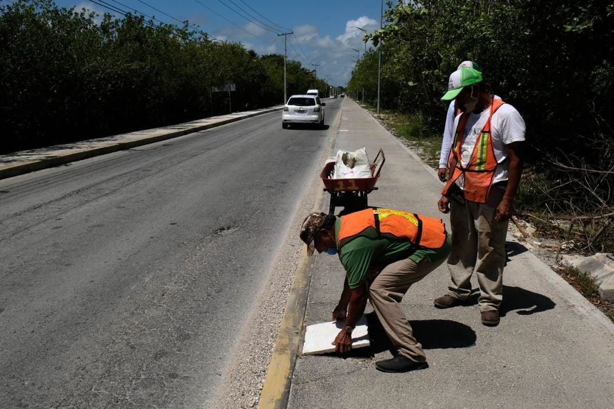 Rehabilitan registros de alumbrado, red eléctrica y drenaje pluvial en Puerto Morelos