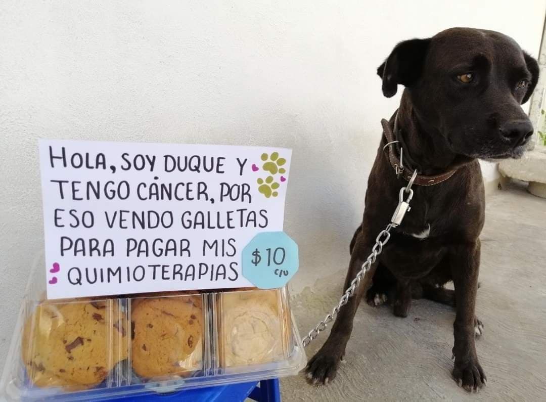 "Duque" vende galletas en Cancún para pagar su tratamiento contra el cáncer