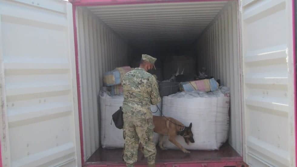 Aseguran 334 kilos de cocaína en puerto de Lázaro Cárdenas, Michoacán