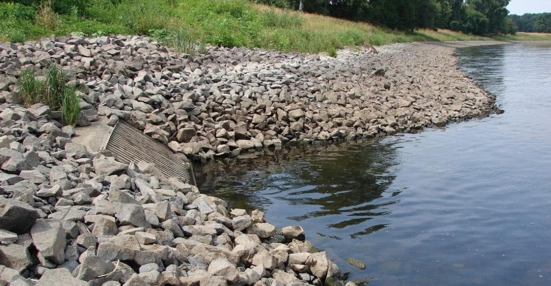 Covid-19 pudo haber llegado antes a Brasil que a China