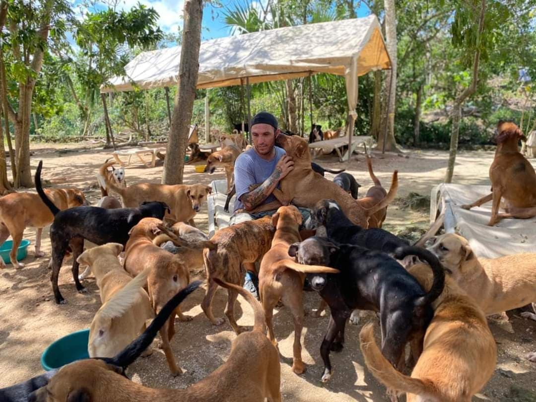 SOS: Quieren despojar a Tierra de Animales de su santuario